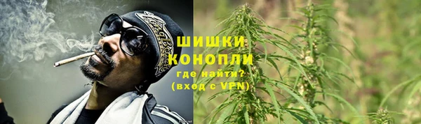 стаф Бугульма