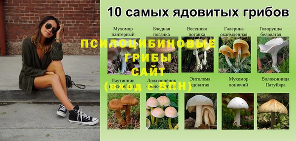 стаф Бугульма