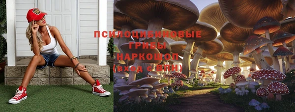 прущие крисы Богородицк
