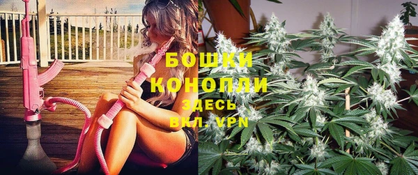 бошки Богданович