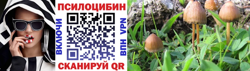 Галлюциногенные грибы мицелий  Купить закладки  Пролетарск 